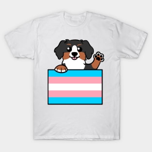 Love is Love Puppy - Bernese Trans Pride Flag T-Shirt